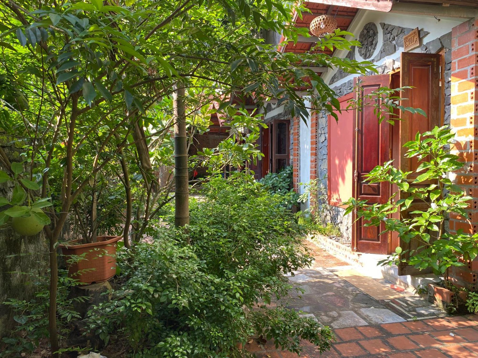 נין בין Tam Coc Ngo Dong Homestay מראה חיצוני תמונה